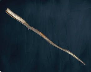 Grindelwald Zauberstab - Charakter Edition