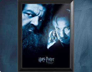 HP3 Banner Hagrid - Wandbild