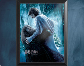 HP4 Weihnachtsball Hagrid - Wandbild