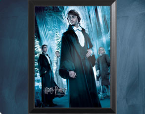 HP4 Weihnachtsball Harry - Wandbild