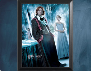HP4 Weihnachtsball Ron - Wandbild
