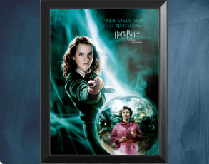 HP5 Banner Hermine - Wandbild