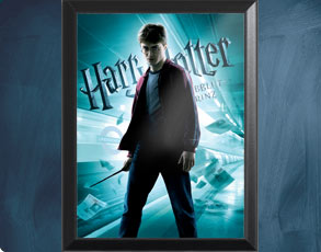 HP6 Banner Harry - Wandbild