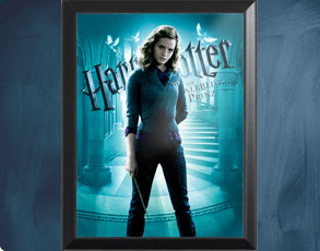 HP6 Banner Hermine - Wandbild