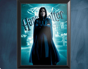 HP6 Banner Snape - Wandbild