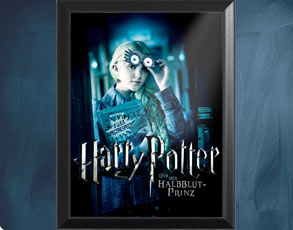 HP6 Onesheet Luna - Wandbild