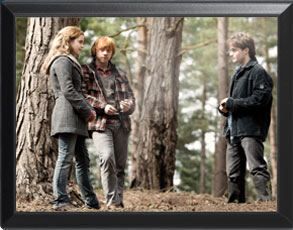 Harry,Hermine und Ron - Harry Potter Wandbild