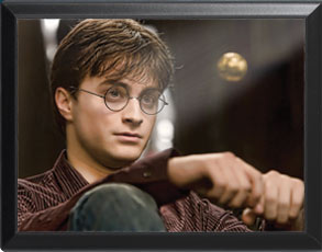 Harry niedergeschlagen - Harry Potter Wandbild