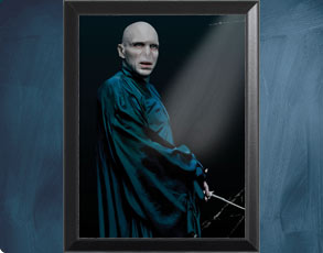 Voldemort - Harry Potter Wandbild