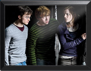 Harry, Ron und Hermine - Harry Potter Wandbild
