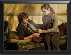 Hermine und Ron - Harry Potter Wandbild