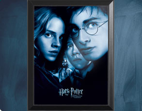 HP3 Banner Harry - Wandbild