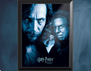 HP3 Banner Sirius - Wandbild
