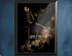 HP4 Banner Cedric - Wandbild
