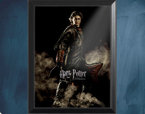 HP4 Banner Harry - Wandbild