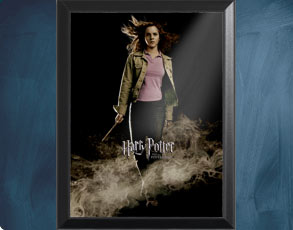 HP4 Banner Hermine - Wandbild