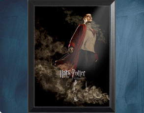 HP4 Banner Krum - Wandbild