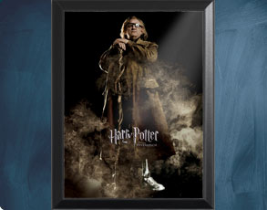HP4 Banner Moody - Wandbild