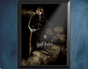 HP4 Banner Ron - Wandbild